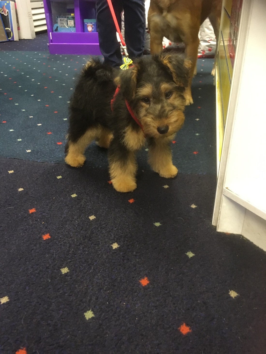 A2EC2F85-6311-4108-AE3D-42CEF4A73CA6